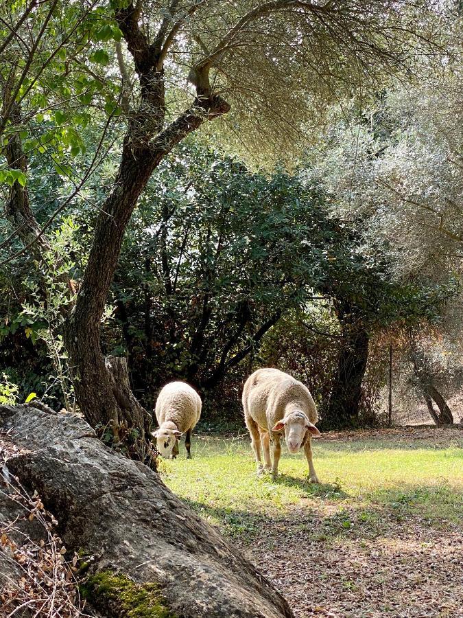 El Molino De La Quinta Διαμέρισμα Constantina Εξωτερικό φωτογραφία