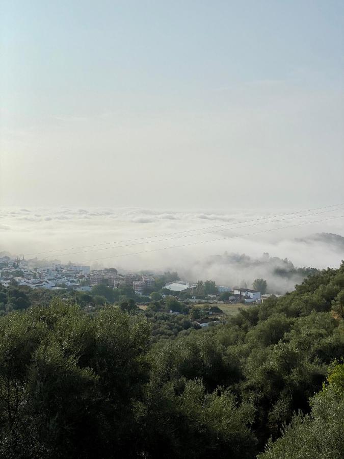 El Molino De La Quinta Διαμέρισμα Constantina Εξωτερικό φωτογραφία