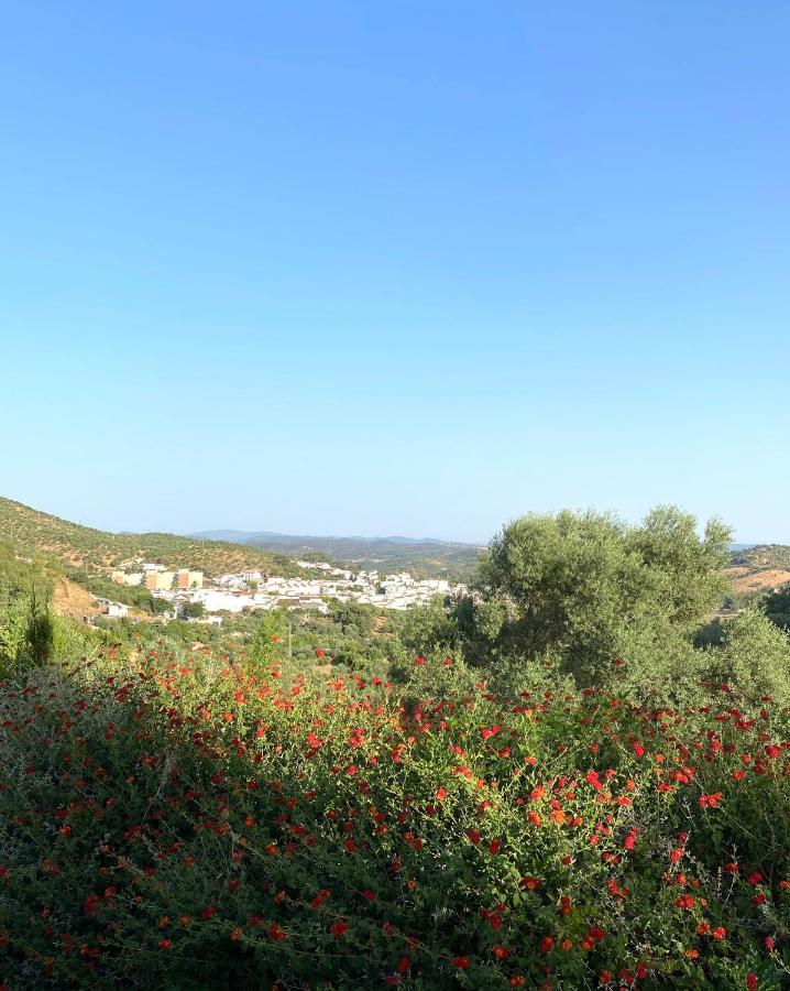 El Molino De La Quinta Διαμέρισμα Constantina Εξωτερικό φωτογραφία