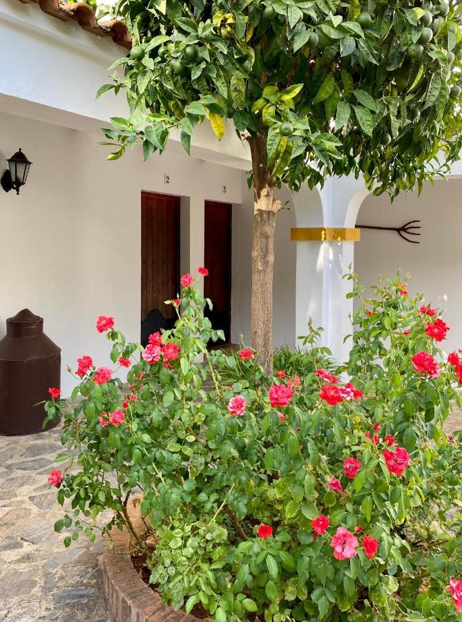 El Molino De La Quinta Διαμέρισμα Constantina Εξωτερικό φωτογραφία