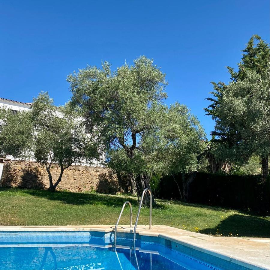 El Molino De La Quinta Διαμέρισμα Constantina Εξωτερικό φωτογραφία