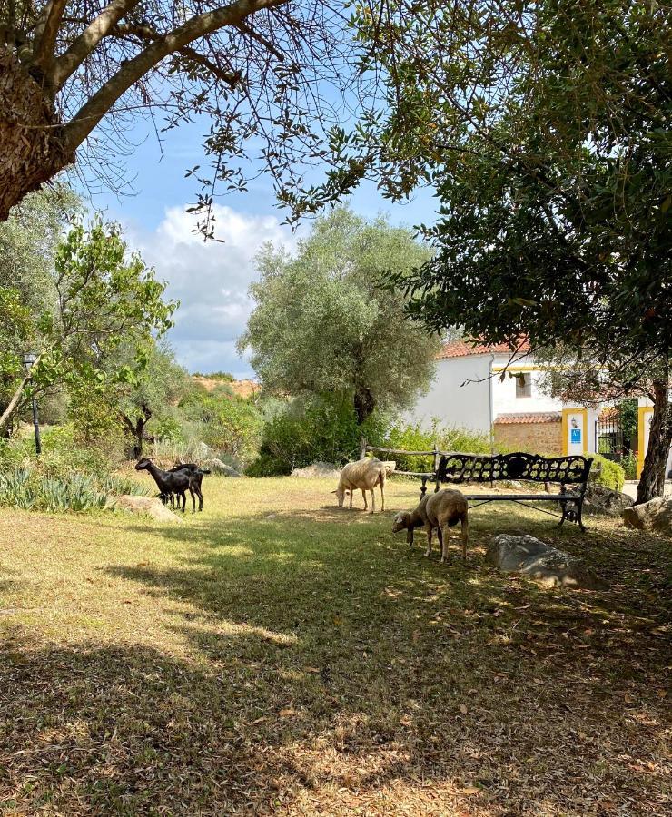 El Molino De La Quinta Διαμέρισμα Constantina Εξωτερικό φωτογραφία